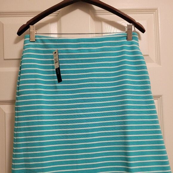Talbots skirt size 2p  - Picture 1 of 10